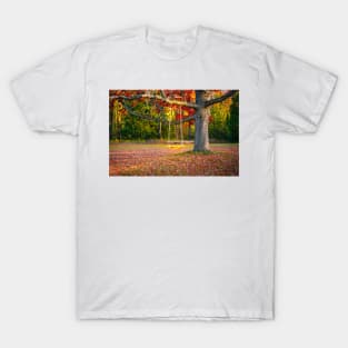 Tree Swing In Autumn 2 T-Shirt